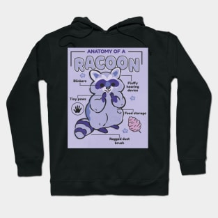 Anatomy of a Racoon Hoodie